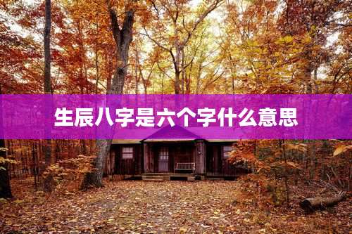 生辰八字是六个字什么意思