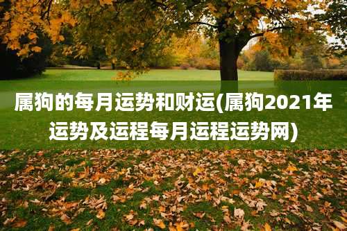 属狗的每月运势和财运(属狗2021年运势及运程每月运程运势网)