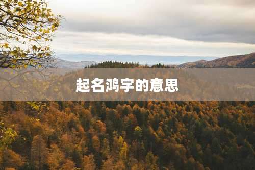 起名鸿字的意思