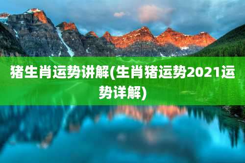 猪生肖运势讲解(生肖猪运势2021运势详解)