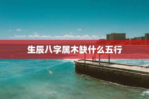 生辰八字属木缺什么五行