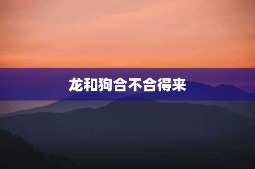 龙和狗合不合得来