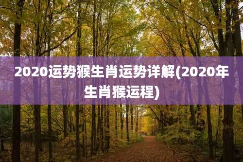 2020运势猴生肖运势详解(2020年生肖猴运程)