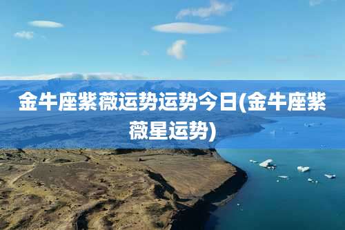 金牛座紫薇运势运势今日(金牛座紫薇星运势)