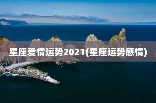 星座爱情运势2021(星座运势感情)