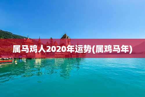 属马鸡人2020年运势(属鸡马年)