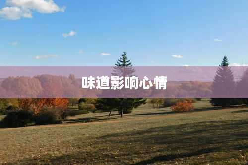 味道影响心情