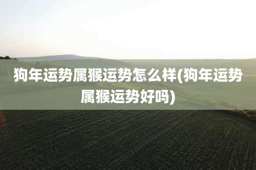 狗年运势属猴运势怎么样(狗年运势属猴运势好吗)