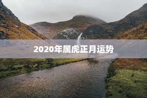 2020年属虎正月运势