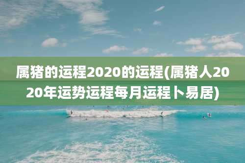 属猪的运程2020的运程(属猪人2020年运势运程每月运程卜易居)