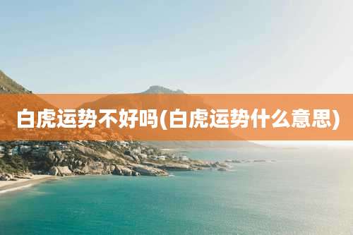 白虎运势不好吗(白虎运势什么意思)