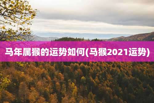 马年属猴的运势如何(马猴2021运势)