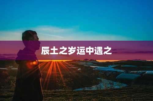 辰土之岁运中遇之