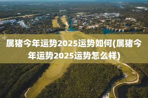 属猪今年运势2025运势如何(属猪今年运势2025运势怎么样)