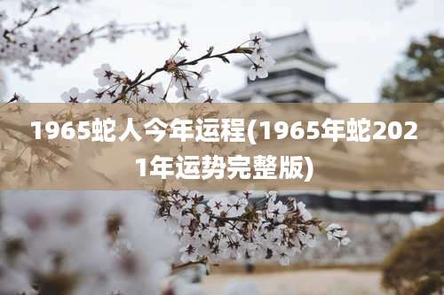1965蛇人今年运程(1965年蛇2021年运势完整版)