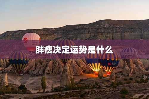 胖瘦决定运势是什么