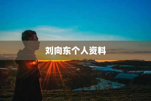 刘向东个人资料