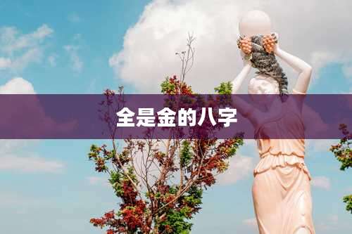 全是金的八字