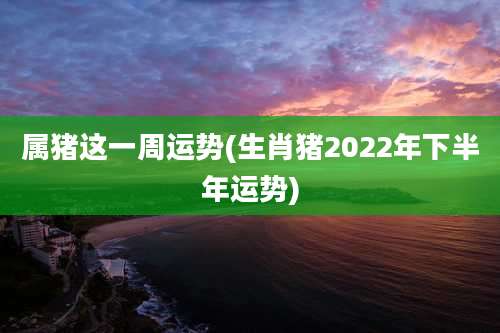 属猪这一周运势(生肖猪2022年下半年运势)