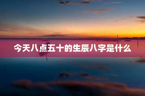 今天八点五十的生辰八字是什么