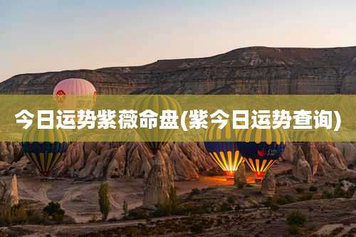 今日运势紫薇命盘(紫今日运势查询)