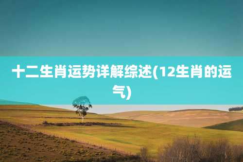 十二生肖运势详解综述(12生肖的运气)