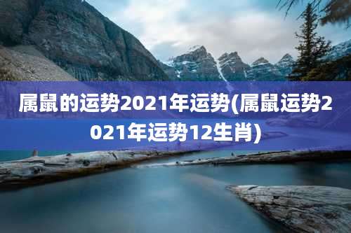 属鼠的运势2021年运势(属鼠运势2021年运势12生肖)