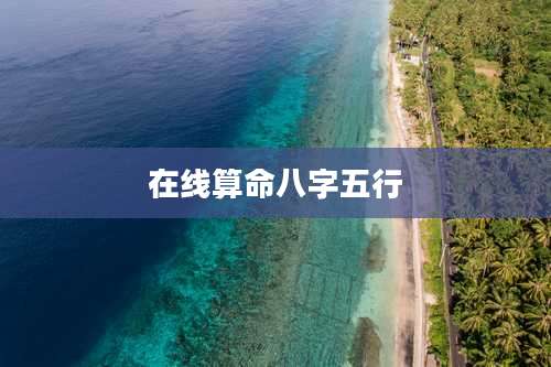 在线算命八字五行