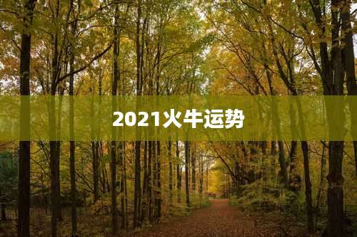2021火牛运势