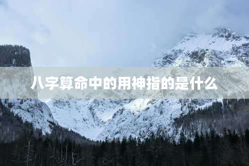 八字算命中的用神指的是什么