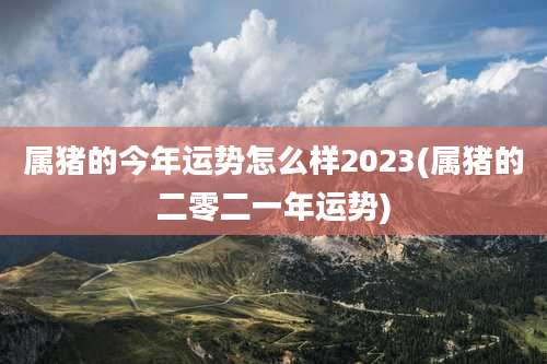 属猪的今年运势怎么样2023(属猪的二零二一年运势)