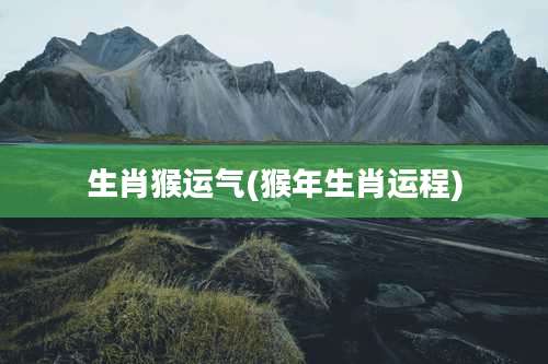 生肖猴运气(猴年生肖运程)