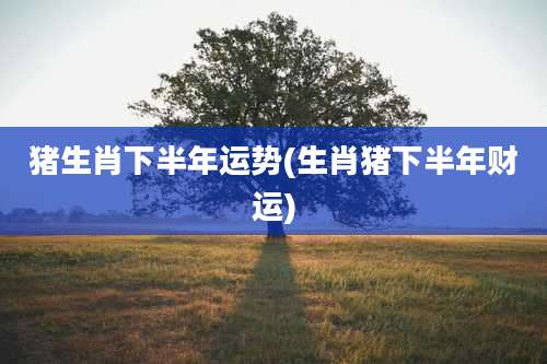 猪生肖下半年运势(生肖猪下半年财运)