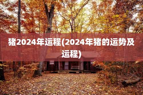 猪2024年运程(2024年猪的运势及运程)