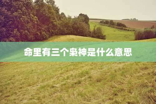 命里有三个枭神是什么意思