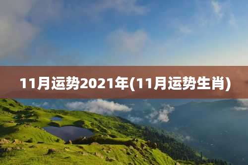 11月运势2021年(11月运势生肖)