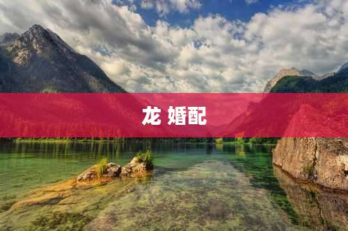 龙 婚配