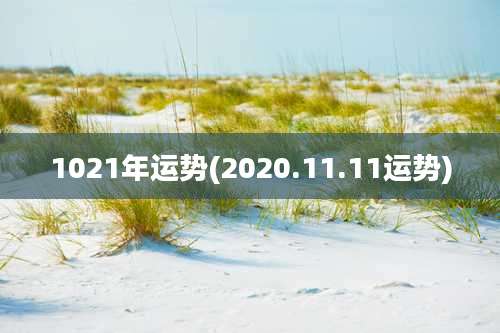 1021年运势(2020.11.11运势)