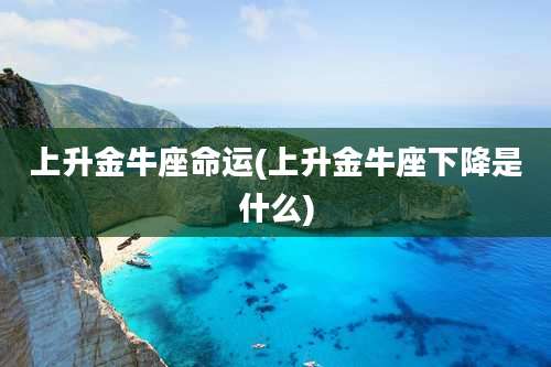 上升金牛座命运(上升金牛座下降是什么)