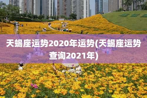 天蝎座运势2020年运势(天蝎座运势查询2021年)