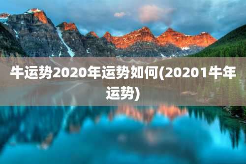 牛运势2020年运势如何(20201牛年运势)