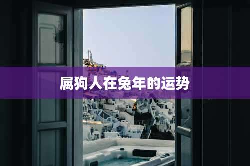 属狗人在兔年的运势