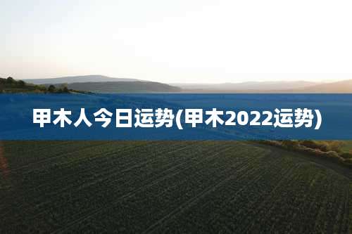 甲木人今日运势(甲木2022运势)