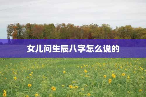 女儿问生辰八字怎么说的
