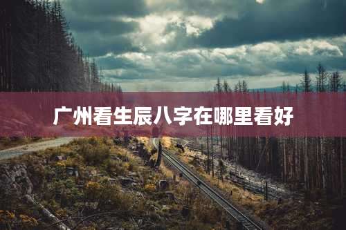 广州看生辰八字在哪里看好