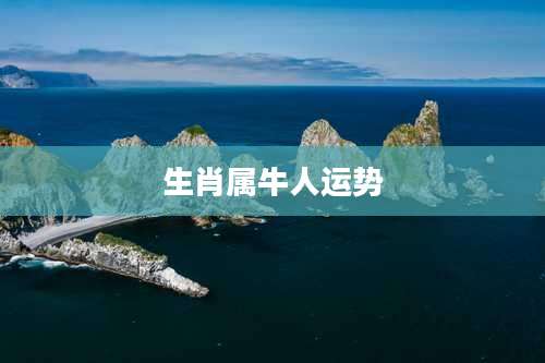 生肖属牛人运势