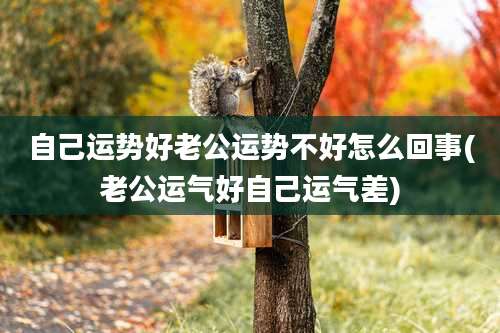 自己运势好老公运势不好怎么回事(老公运气好自己运气差)