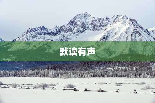 默读有声