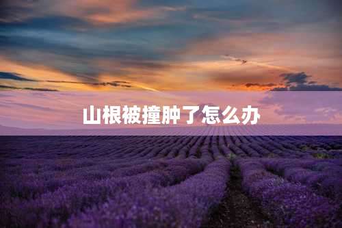 山根被撞肿了怎么办