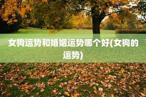 女狗运势和婚姻运势哪个好(女狗的运势)